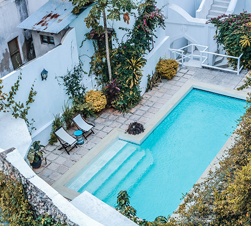 Garden & swimming Pool